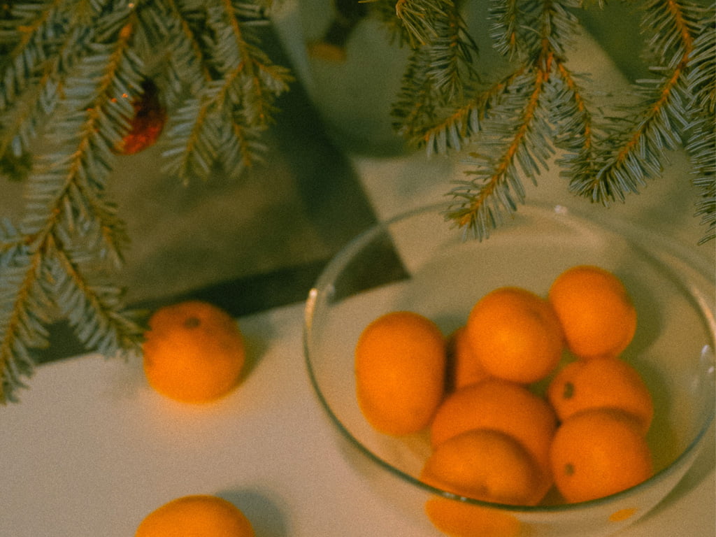 Zitrusfrüchten Weihnachtsbaum, Katze