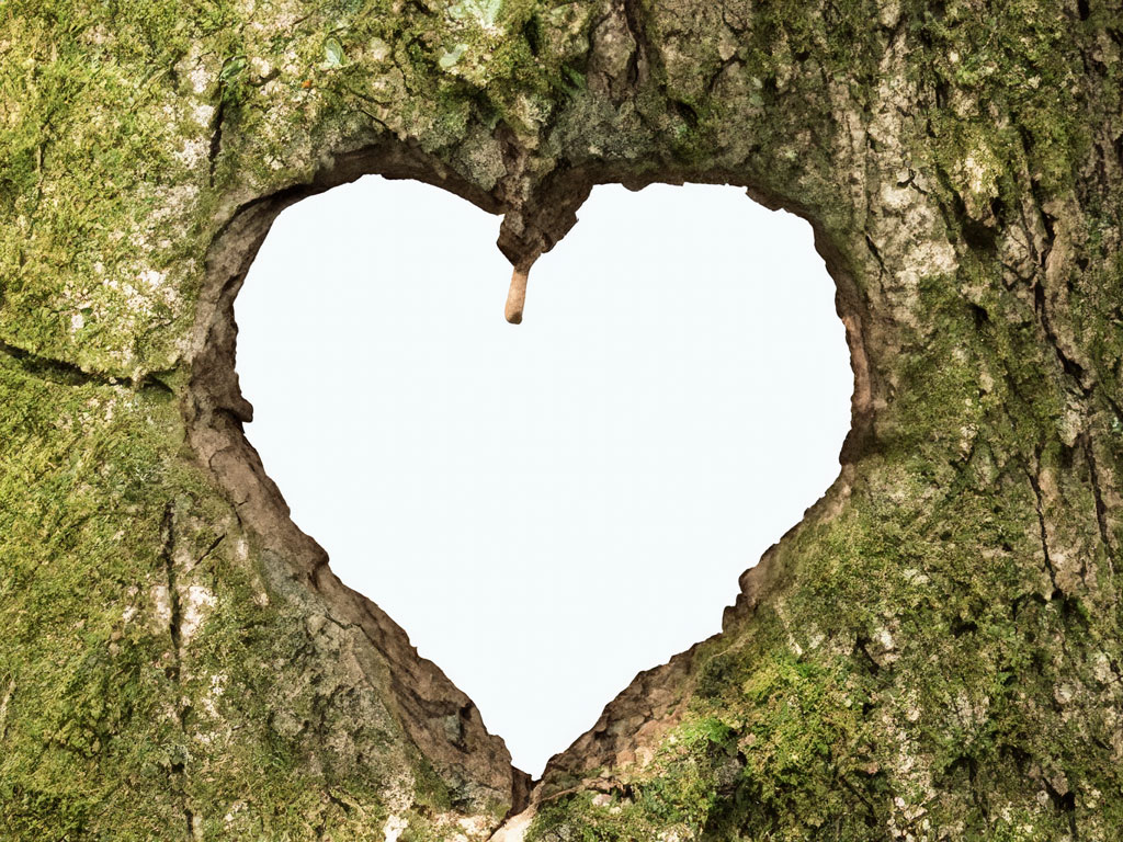 Herz Baum Form