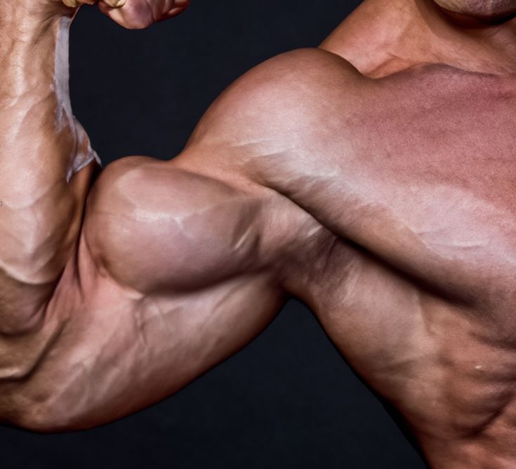 Ein Hauptvorteil von Turkesterone ist seine Wirkung auf den Muskelaufbau und die Leistungsfähigkeit beim Training. Es wird angenommen, dass Turkesterone die Proteinsynthese erhöht und somit das Muskelwachstum fördert. Es kann auch die Regeneration nach dem Training beschleunigen und die Ausdauer verbessern.