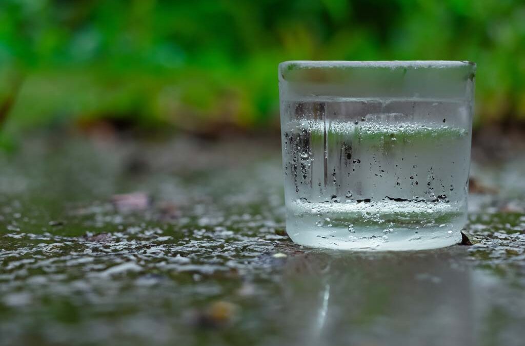 CUP Umbrella zu Cupbrella